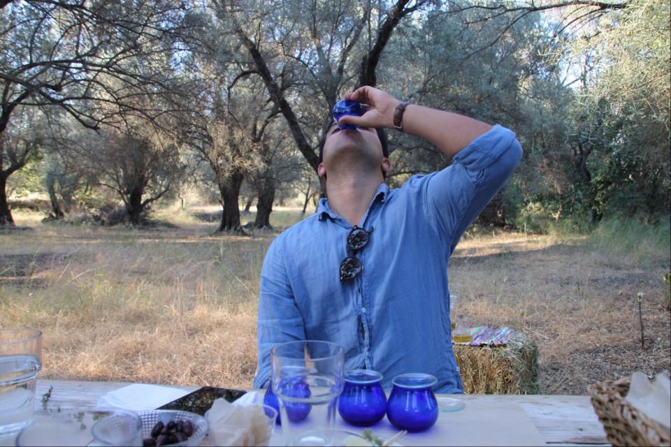 Rethymno: Olive Oil Tasting with Cretan Food Pairing - Mosquitoes, weather, and what to pack
