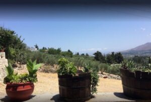 Rethymno: Private Winery & Olive Oil Tasting Tour with Lunch - Dourakis Winery: guided wine history you can taste in 90 minutes