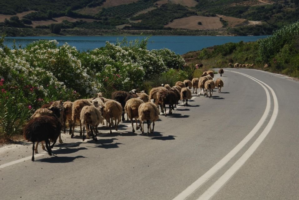 Rethymno | Safari Tour in Private - A full day beyond Rethymno’s old town