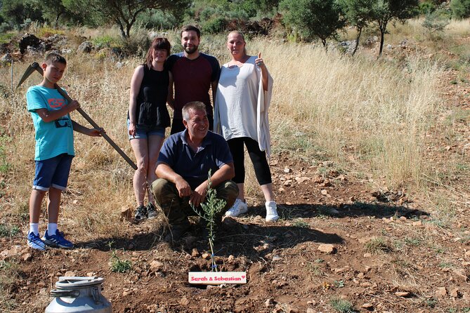 Rethymnon Olive Tree Sponsorship Protect and Plant Tour - Sponsoring an established olive tree
