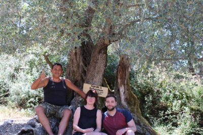 Rethymnon Olive Tree Sponsorship Protect and Plant Tour - Why the conservation message matters here