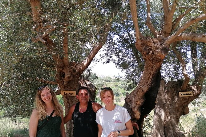 Rethymnon Olive Tree Sponsorship Protect and Plant Tour - What the $141.78 price means
