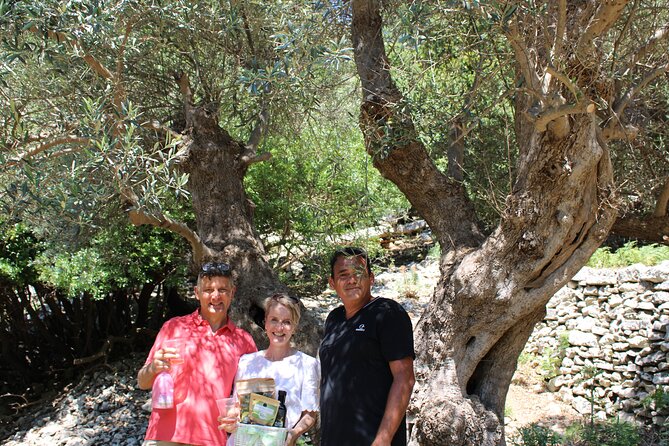 Rethymnon Olive Tree Sponsorship Protect and Plant Tour - Timing, weather, and what to bring