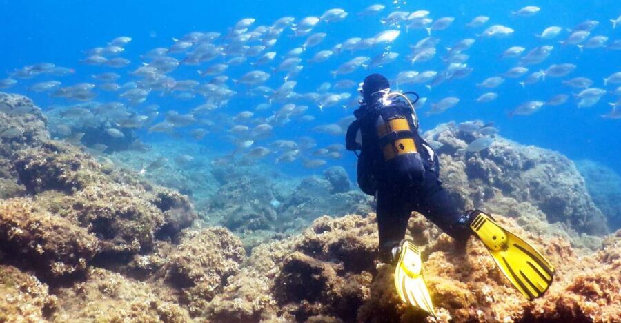 Rhodes: Diving Adventure for Beginners and Experts - Quick hits before you go