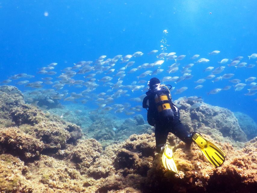 Rhodes: Diving Adventure for Beginners and Experts - Rhodes scuba day: what you’ll actually do