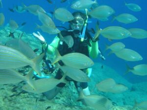 Rhodes: Diving Adventure for Beginners and Experts - Getting there: Mandraki area, transfers, and why it matters