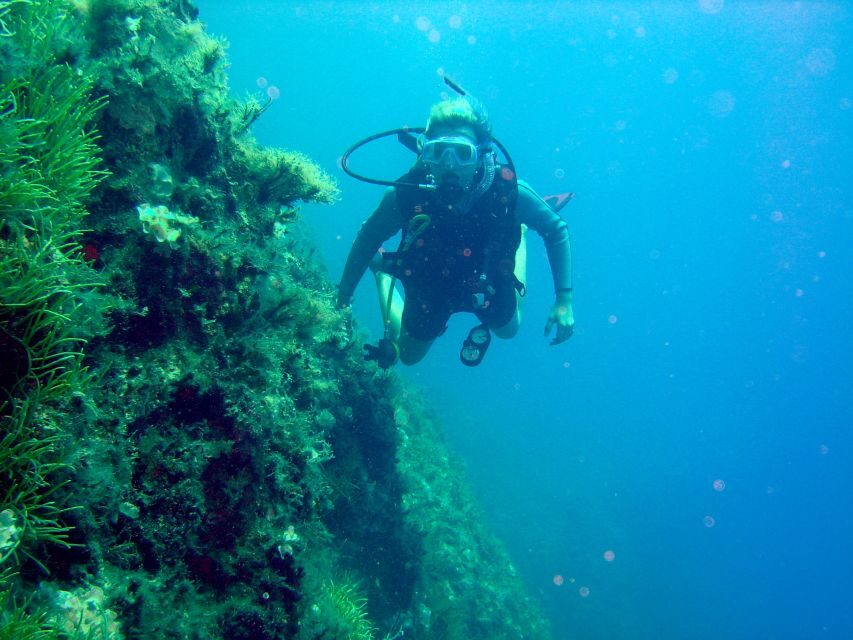 Rhodes: Diving Adventure for Beginners and Experts - Kalithea waters: snorkeling warm-up and your first underwater session