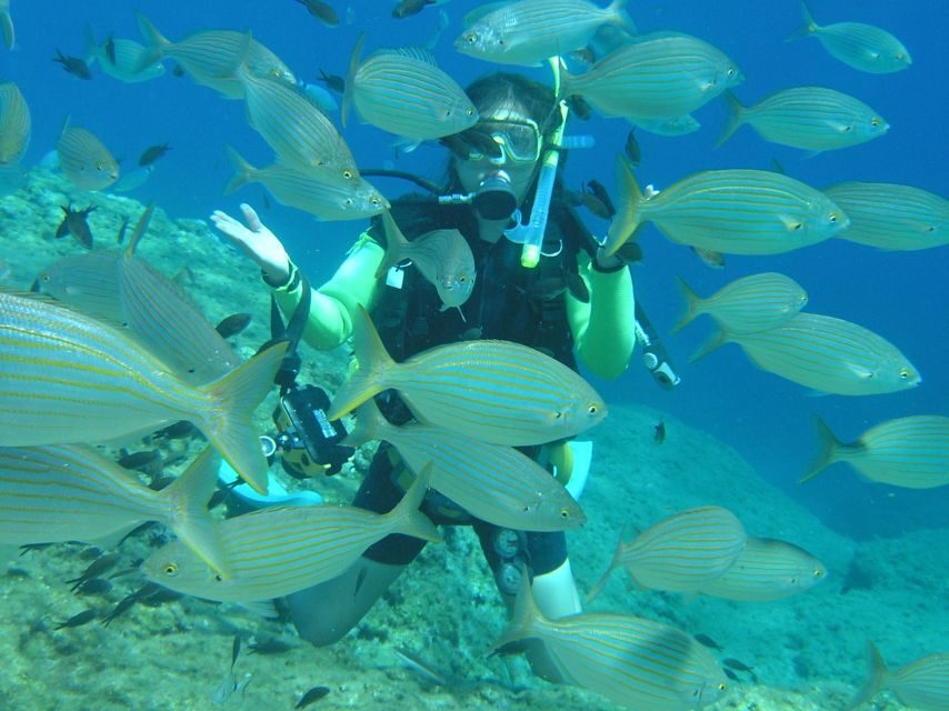 Rhodes: Diving Adventure for Beginners and Experts - Getting there: Mandraki area, transfers, and why it matters