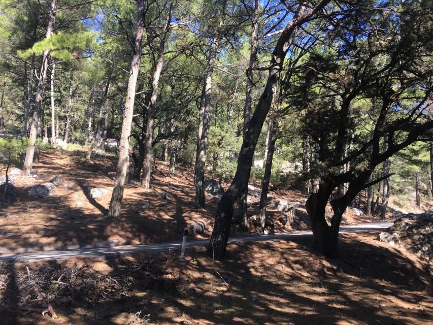 Rhodes: Full–Day 4WD Northern Safari Tour - Key things I’d plan around