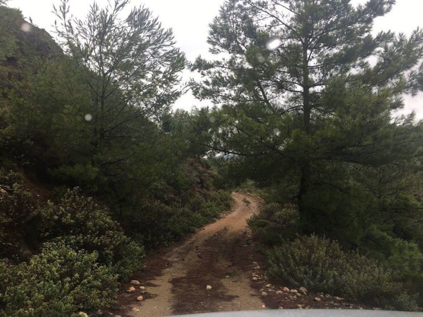 Rhodes: Full–Day 4WD Northern Safari Tour - Non-Touristy Villages and Panoramic Lookouts (East to West)