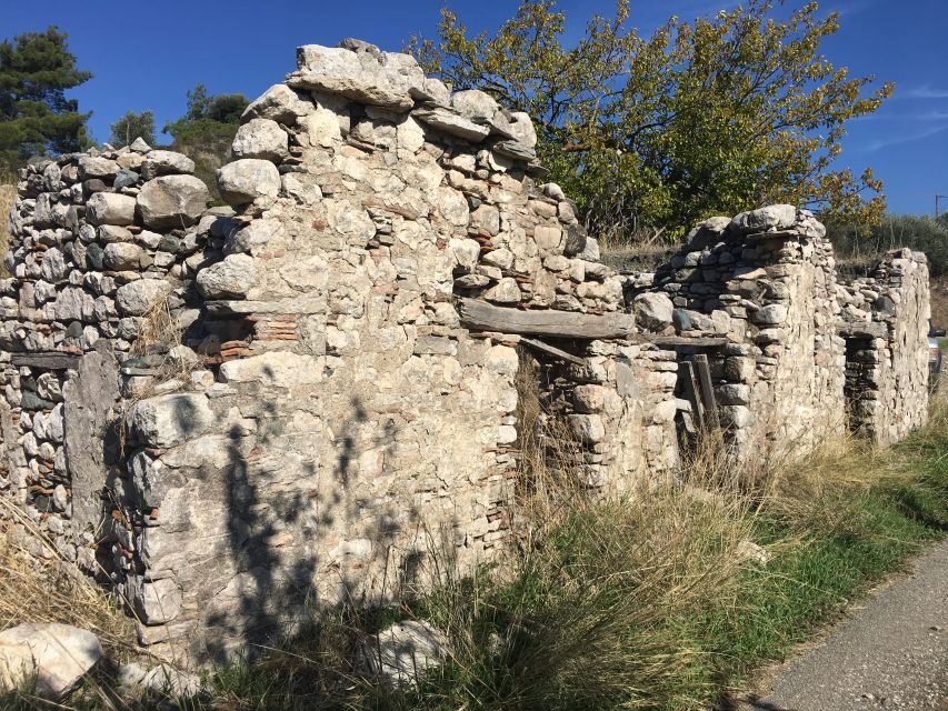 Rhodes: Full–Day 4WD Northern Safari Tour - Kritinia Lunch Under Plane Trees: Traditional Food and Wine