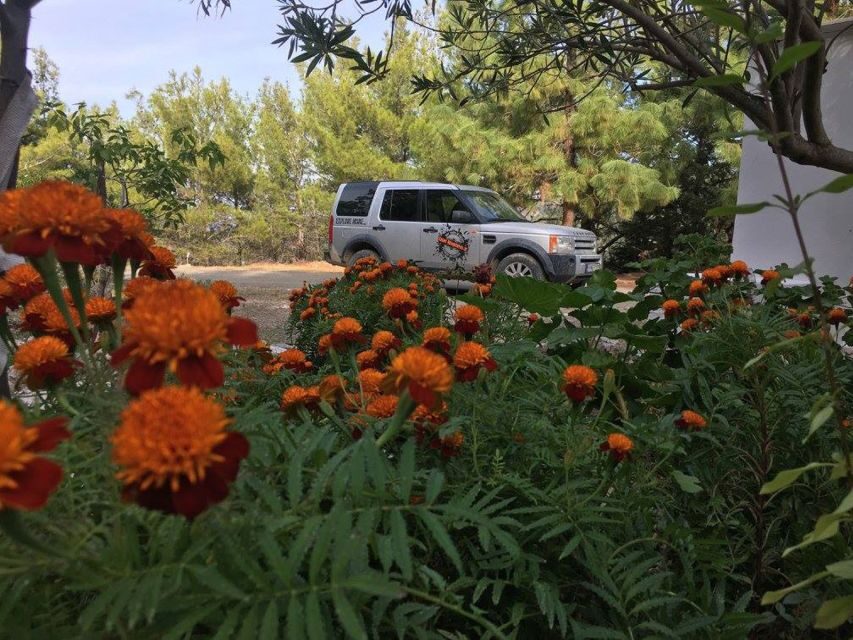 Rhodes: Full–Day 4WD Northern Safari Tour - Back on Asphalt: How the Day Ends Without Stress
