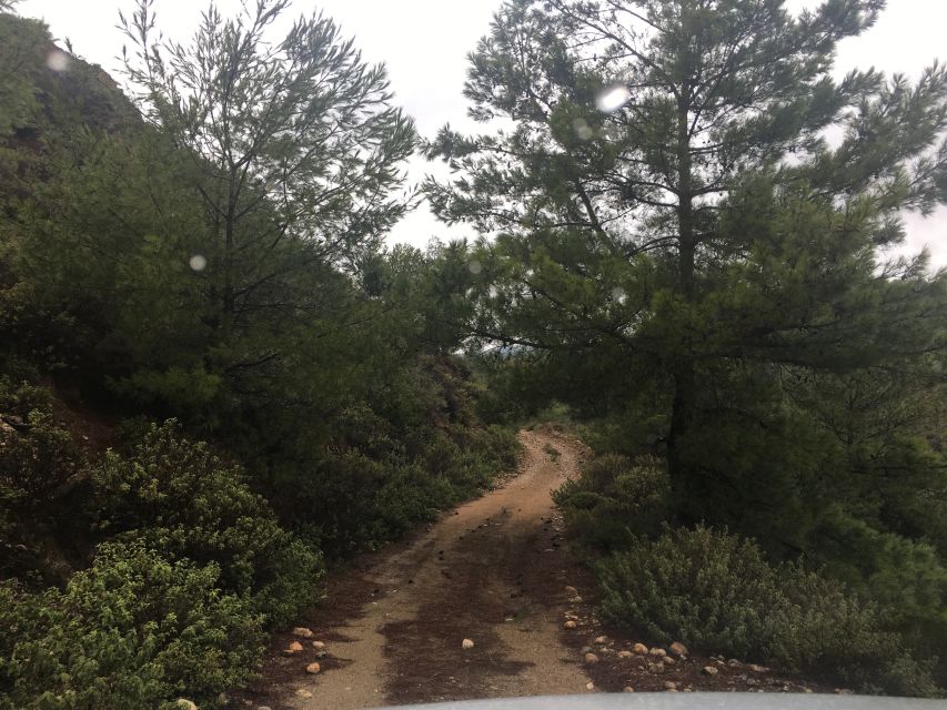 Rhodes: Full-Day 4WD Southern Safari Tour - Comfort, timing, and practical limits