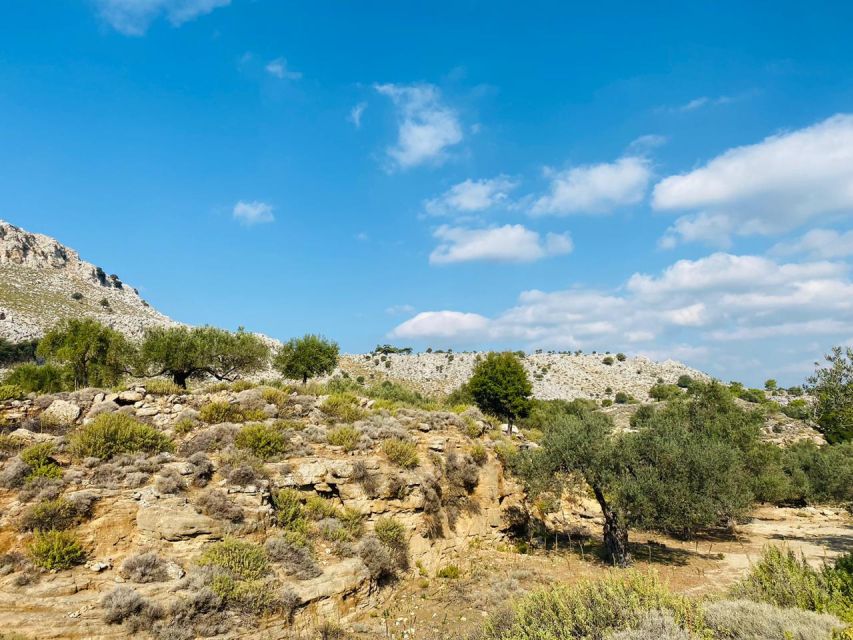 Rhodes: Guided Hike to 7 springs from Archangelos - Key points to know before booking
