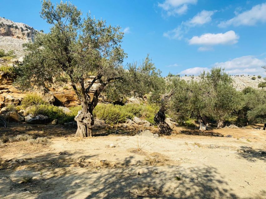 Rhodes: Guided Hike to 7 springs from Archangelos - Guide stories and the small-group feel