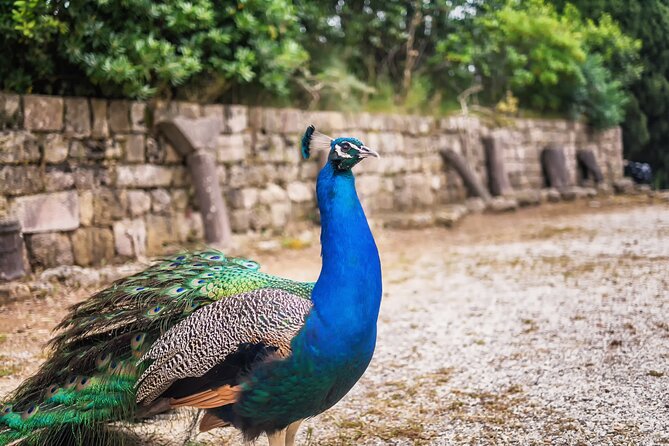 Rhodes Hidden Gems: Self-Drive Offroad Expedition - Who will enjoy this most