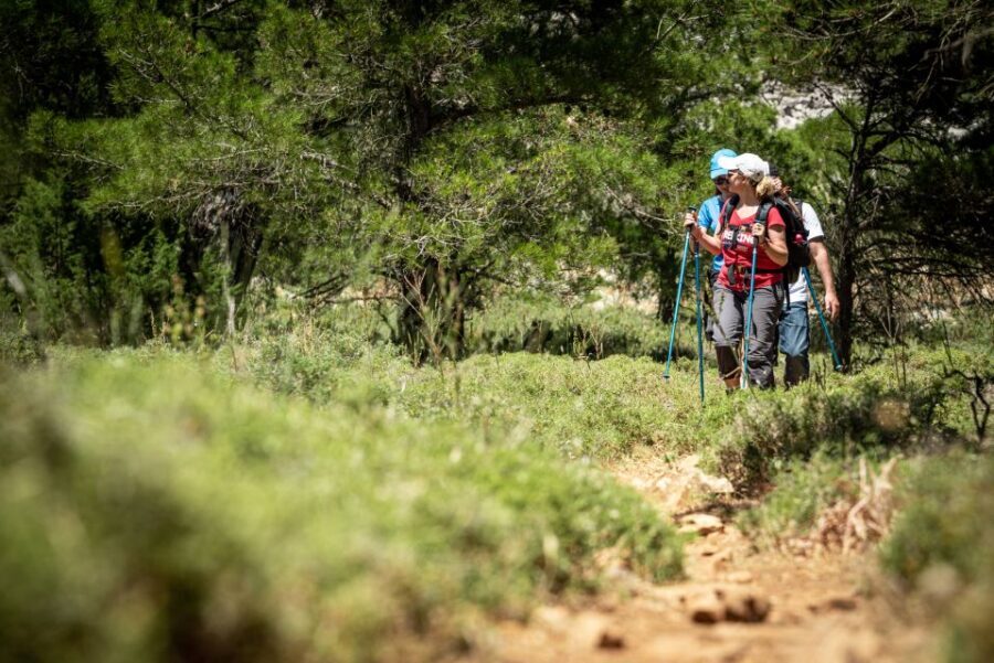 Rhodes: Hiking Tour to the Summit of Akramitis with Photos - Meeting Point and Pickup: Where You Start the Day