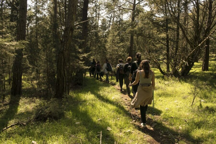 Rhodes: Hiking Tour to the Summit of Akramitis with Photos - The Climb Through Rocks and Colorful Shrubs