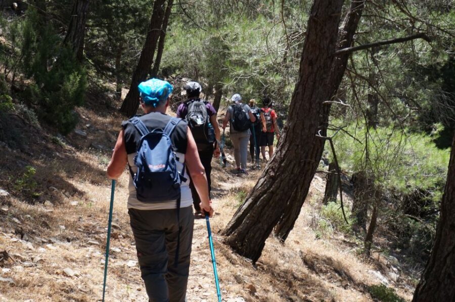 Rhodes: Hiking Tour to the Summit of Akramitis with Photos - Trail Snapshot: Distance, Time, and the Steep Part You Can’t Ignore