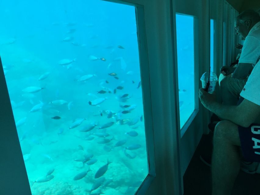 Rhodes: Hop-on Hop-off Bus and Submarine Tour - Should you book this tour?