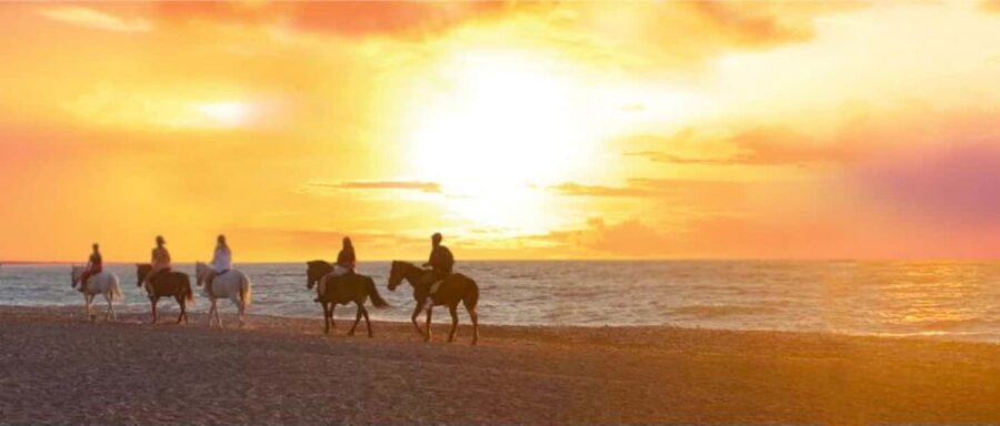 Rhodes Island: Horseback Riding at the Beach During Sunset - Sunset Beach on Rhodes: The Real Appeal