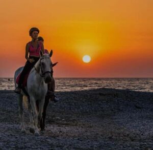 Rhodes Island: Horseback Riding at the Beach During Sunset - Meeting Point and First Impressions Under the Trees