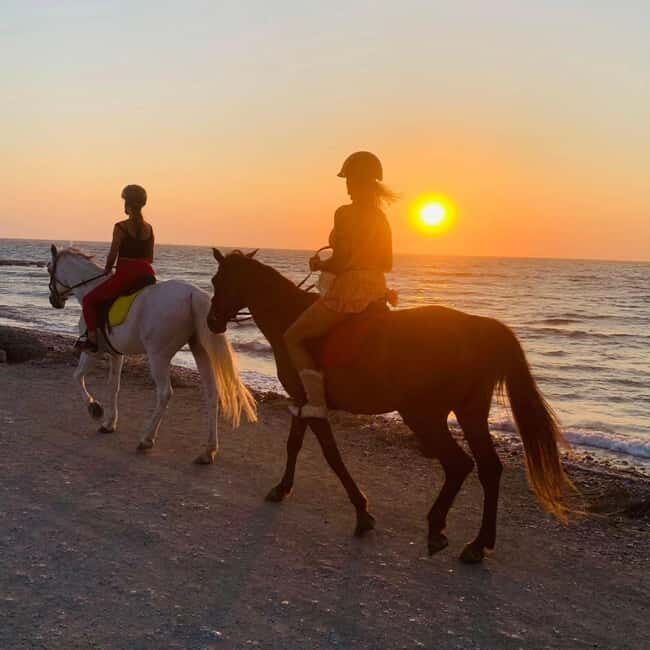Rhodes Island: Horseback Riding at the Beach During Sunset - Before You Ride: Rules That Shape the Experience
