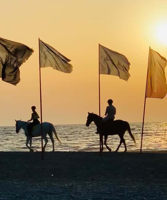 Rhodes Island: Horseback Riding at the Beach During Sunset - Who Should Book This Sunset Horse Ride