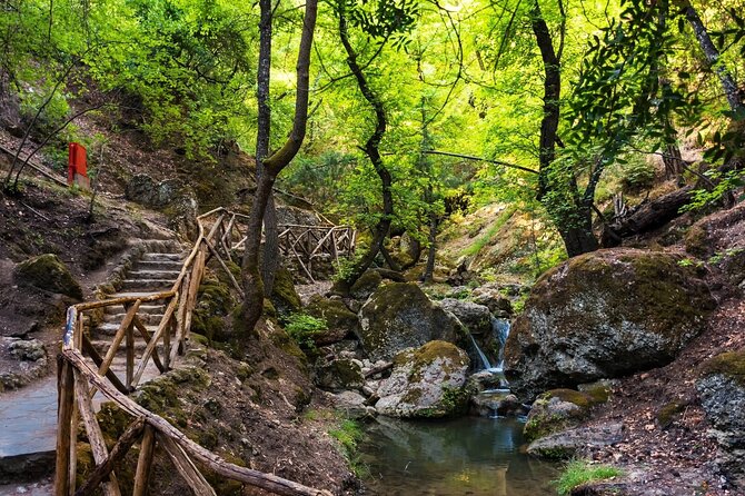 Rhodes & Lindos & Butterfly Valley - Private Half-day Excursion - Monthe Smith Hill and the Acropolis of Rhodes