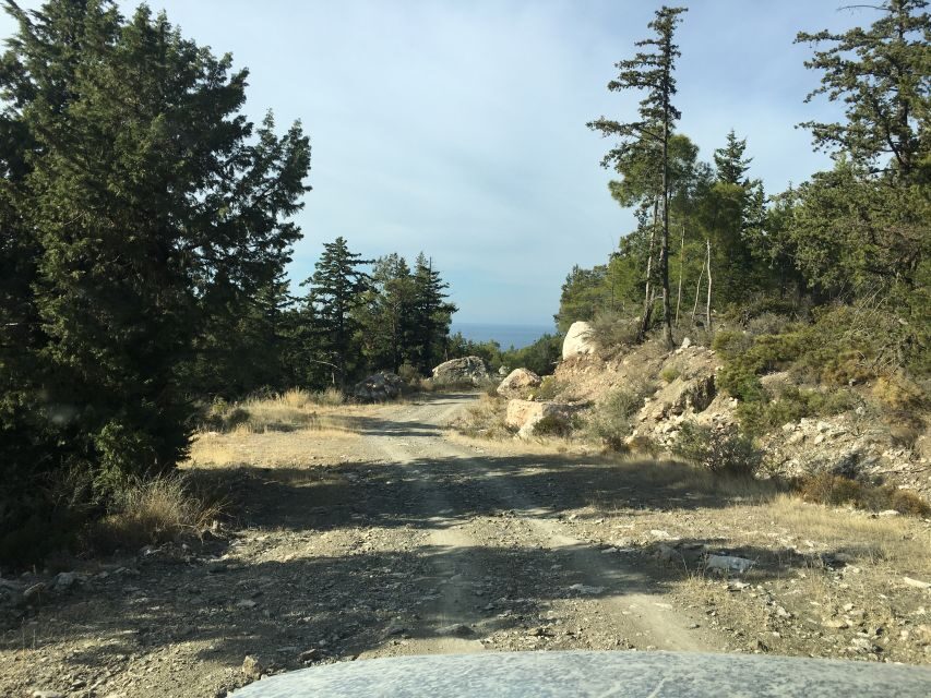 Rhodes North Safari: Hidden Paths & Scenic Flavors - Key Highlights You’ll Actually Feel During the Day