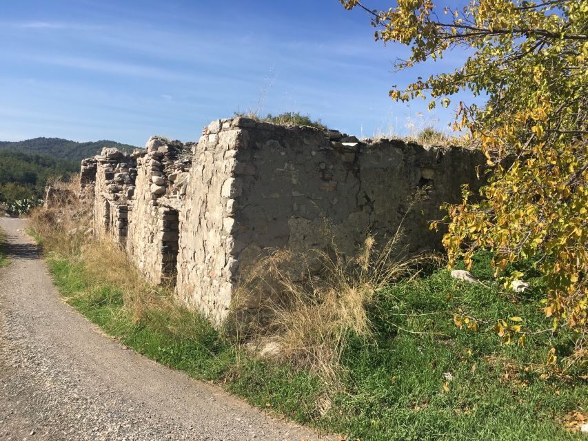 Rhodes North Safari: Hidden Paths & Scenic Flavors - Price and Time: Is $135 Worth It for Rhodes North?