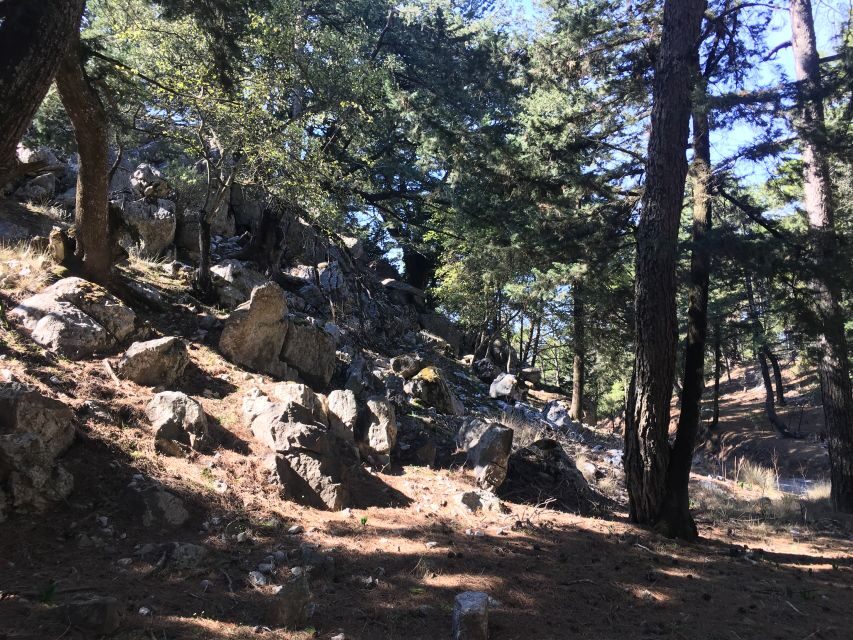 Rhodes North Safari: Hidden Paths & Scenic Flavors - Morning Pickup and a Small-Group 4x4 Reality Check