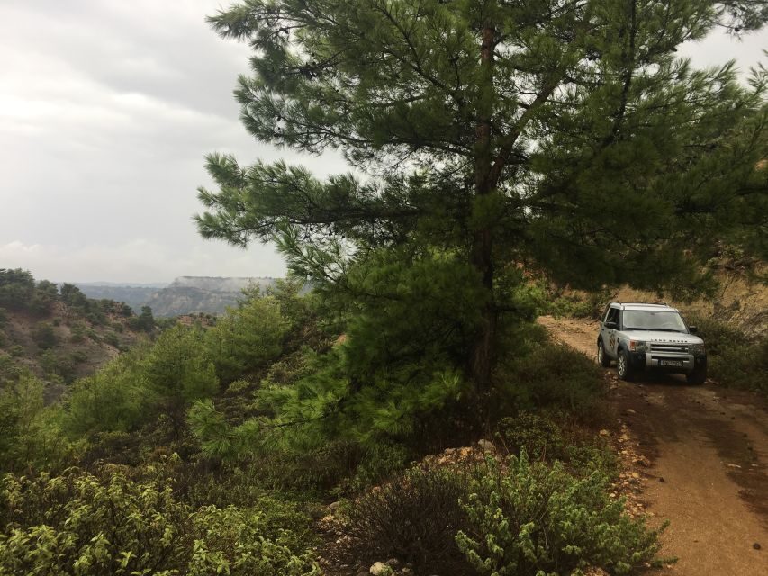 Rhodes North Safari: Hidden Paths & Scenic Flavors - Mineral Fossils Pit Stop: Rocks Worth Getting Out For