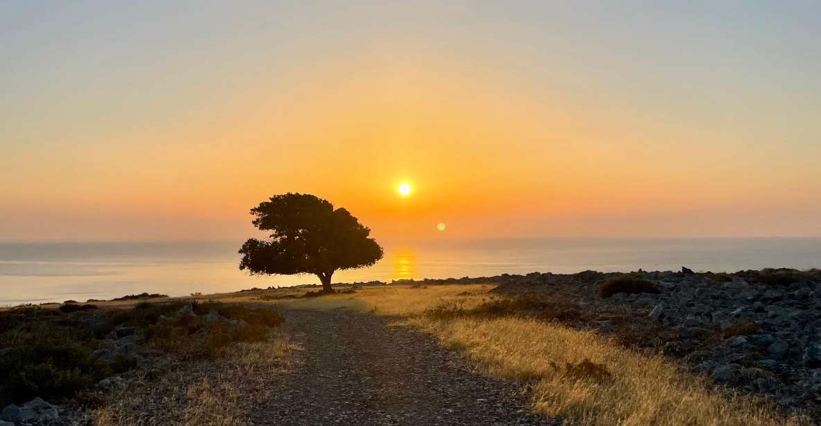 Rhodes: Pefkos-Navarone Bay, “the magic of sunrise” - Along the headland and into the pine woods