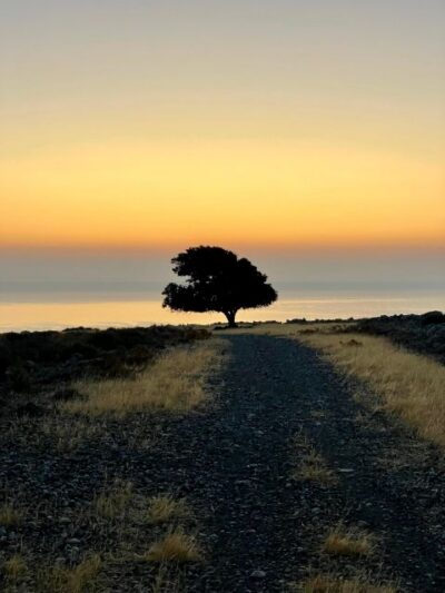 Rhodes: Pefkos-Navarone Bay, “the magic of sunrise” - Sunrise at the top, not from a bus window