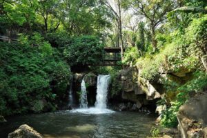 Rhodes Private Tours - Lindos: 292 Steps, St. Paul’s Bay, and Acropolis Views