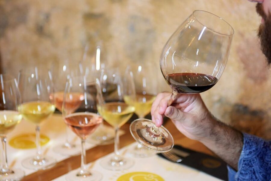 Rhodes: Private Wine Tasting Experience for Beginners - Price and Value: What $39.52 Buys You in Rhodes