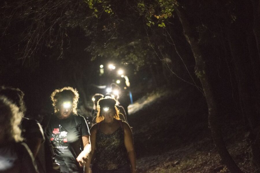Rhodes: Profitis Ilias Guided Sunset Hike - The return with headlamps: how the night walk changes the experience
