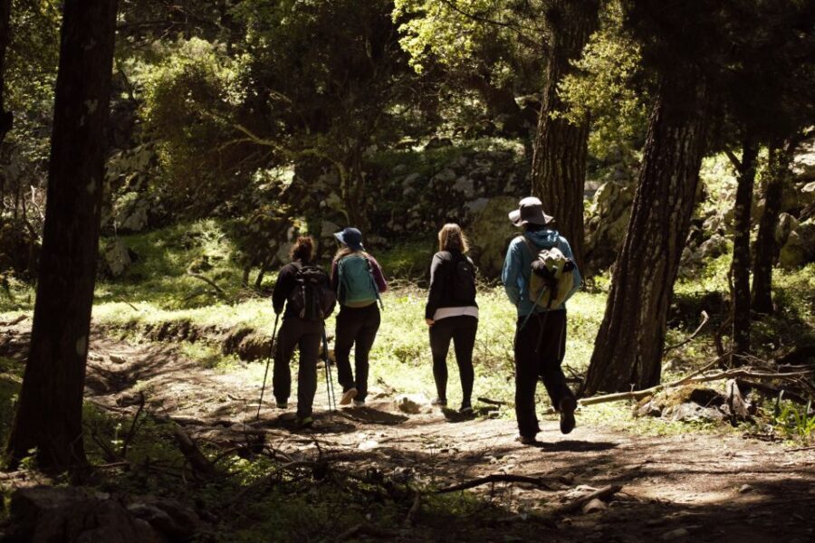Rhodes: Profitis Ilias Guided Sunset Hike - Who this hike is best for (and who should skip it)