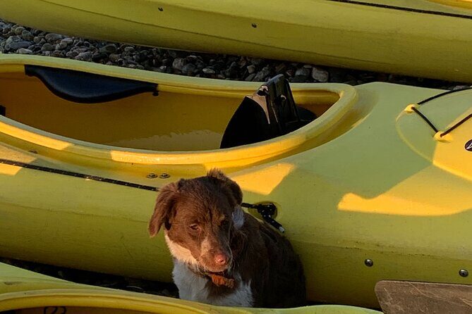 Rhodes Sea Kayaking Adventure small groups incl.Transfer & snack - Red Sand Beach stop: swimming, snorkel time, and a quick lesson