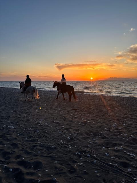 Rhodes: Seaside Horseback Riding Experience - Key highlights at NiVaRanch in Rhodes