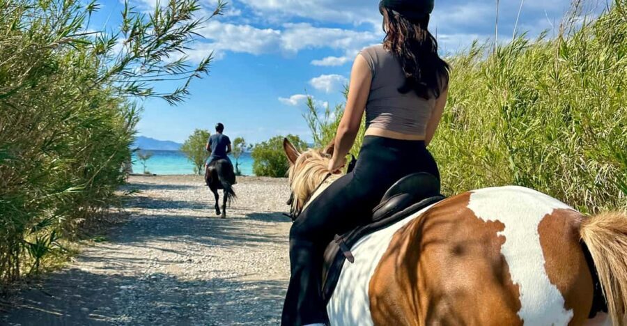 Rhodes: Seaside Horseback Riding Experience - The east-coast setup: calm water, softer vibes
