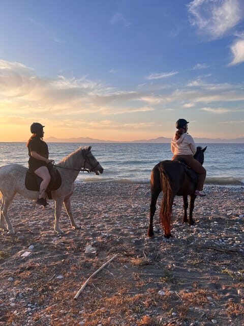 Rhodes: Seaside Horseback Riding Experience - Meet the horses: calm temperaments are the whole point