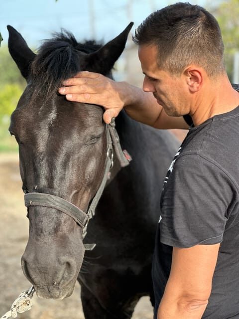 Rhodes: Seaside Horseback Riding Experience - Sea time and golden-hour moments on the beach