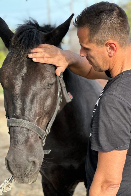 Rhodes: Seaside Horseback Riding Experience - Photos are included: your biggest souvenir is visual