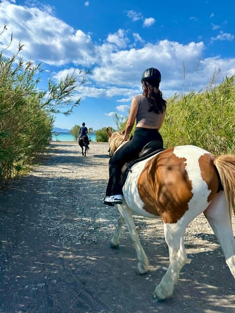 Rhodes: Seaside Horseback Riding Experience - Price and value: why $94 can make sense