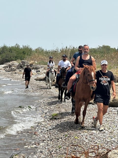 Rhodes: Seaside Horseback Riding Experience - Who should book this Rhodes horseback ride