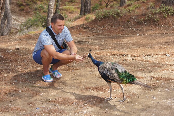 Rhodes Self Drive 4x4 Wilderness Expedition & Traditional Lunch - Who Will Enjoy This Rhodes Excursion Most?