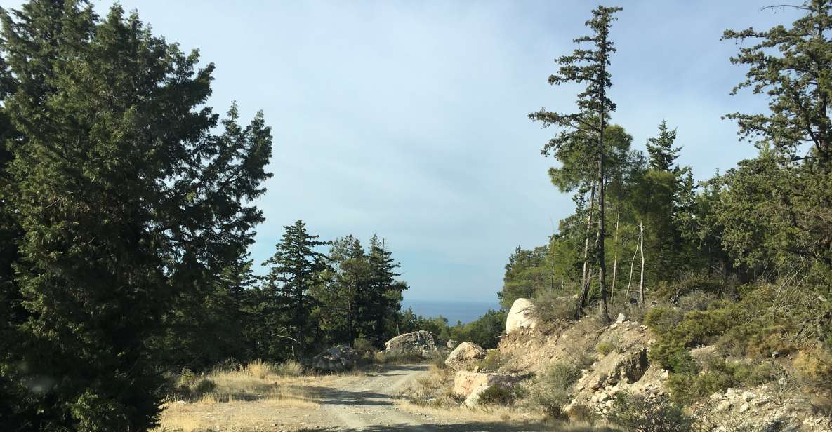 Rhodes South Safari: Mountains & Local Flavors - Key points at a glance