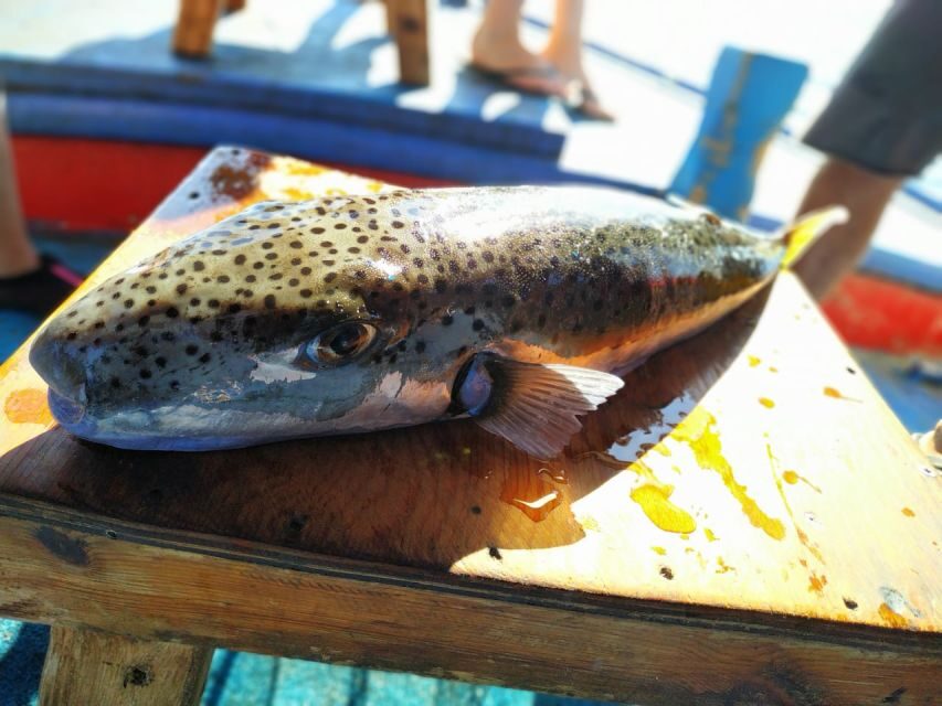 Rhodes Town: Fishing Boat Trip with Fish Meal and Swim Stops - Meeting Mandraki Harbor and Finding Makarounas (Easy start, no fuss)